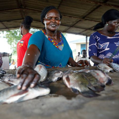 Insights on navigating agrifood systems transformation in crisis-affected South Sudan