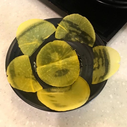 널 못 가지면 사과나무 기를걸 (2019)