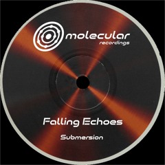 PREMIERE: Falling Echoes - Submersion