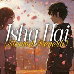 Ishq Hai (Slowed+Reverb)