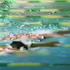 A Day In The Life Of A Swimmer