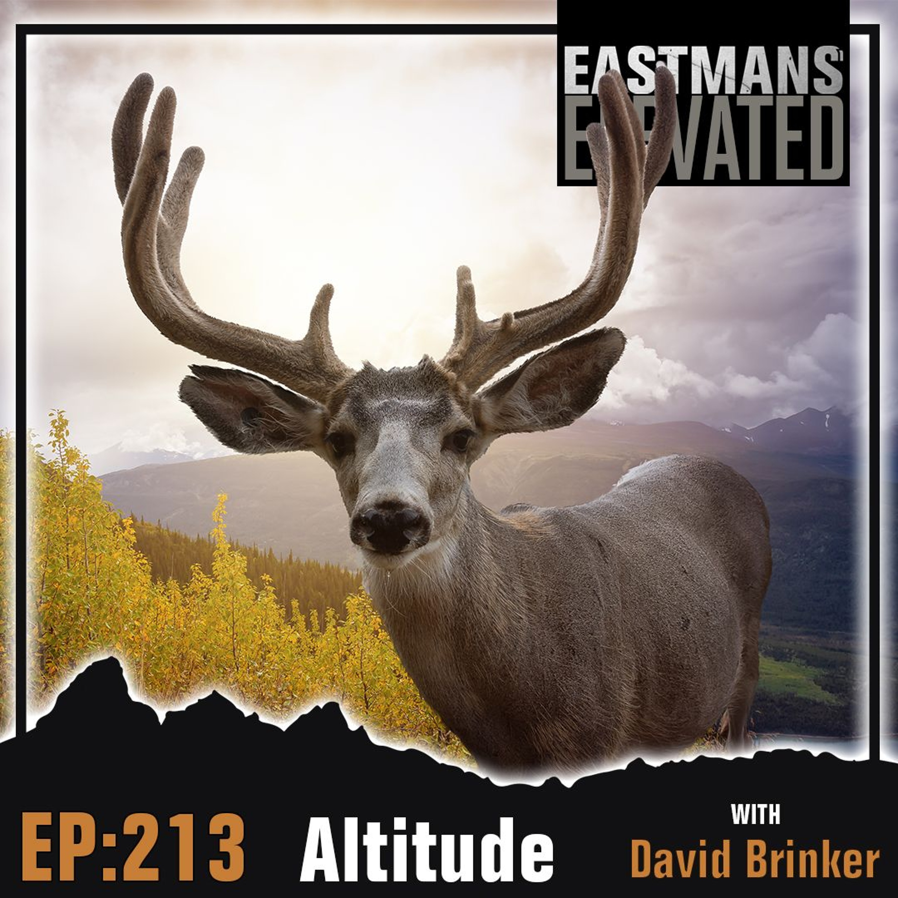Eastmans\' Elevated