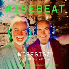 WISEGIGZ Yunak Pop-Up Echoes from Agartha 2023 20230728