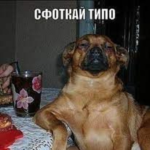 Куба вставай донбасс