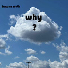 Why?