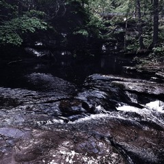 Stop Letting Your Emotions Get The Best Of You