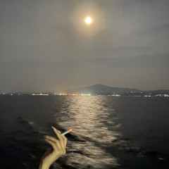 Doja Cat - Wild Beach (cover)