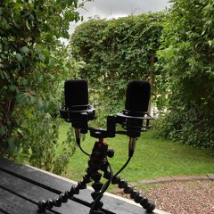 Thunder and horses neighing