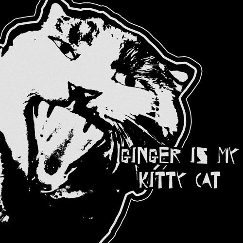 Ginger Is My Kitty Cat