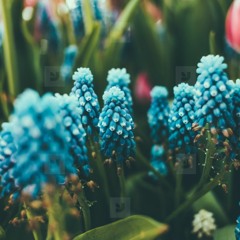 Wont listen anymore (REMIX)