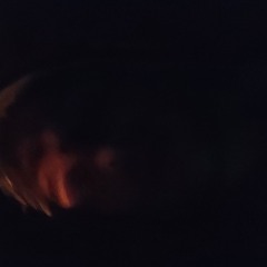 Bodensatz - Beenden Der Leidenschaft