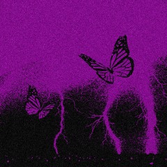 Surreal prod. Sepi