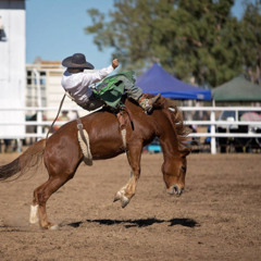Life Is A Rodeo