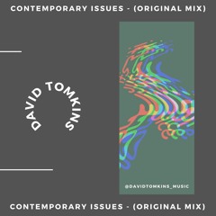 Contemporary Issues - Original Mix