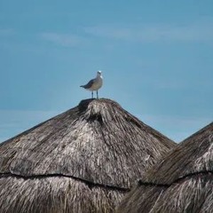 Travis Scott x Future Type Beat – Fire Fly | Trap  / Hip Hop | Prod. IFI_Instrumental