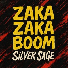 ZAKA ZAKA BOOM