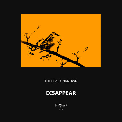 the real Unknown - Silent Walk [Bullfinch]