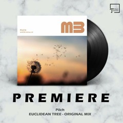 PREMIERE: Pilch - Euclidean Tree (Original Mix) [MELODIC BEATS RECORDINGS]