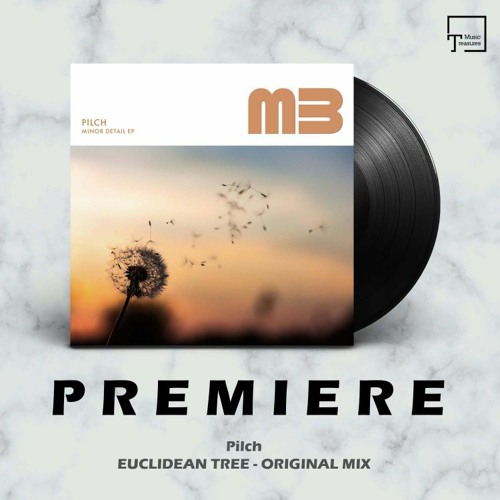 PREMIERE: Pilch - Euclidean Tree (Original Mix) [MELODIC BEATS RECORDINGS]