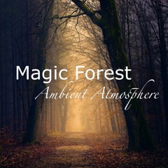 Magic Forest - Full Soundscape Version With Fantasy Effect (20 Min)