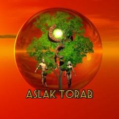 Aslak Torab