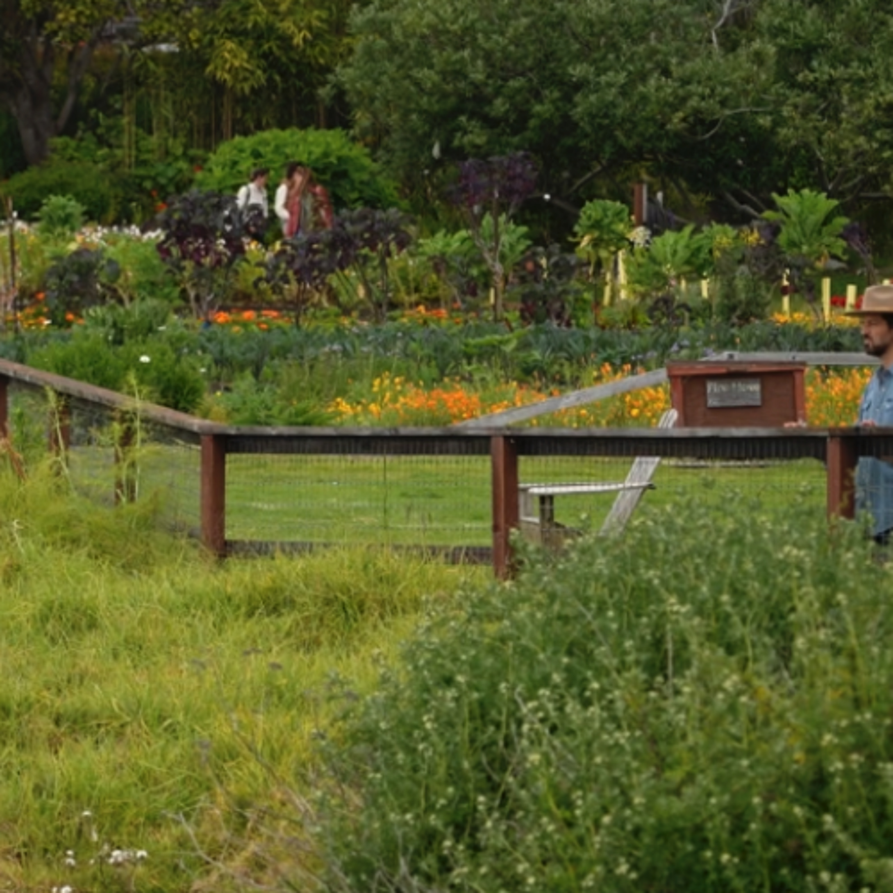 Voices of Esalen