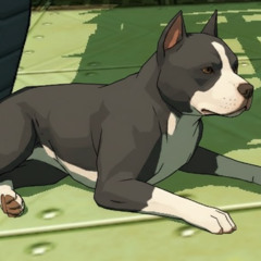 A.k.Adrix // PITIBUU