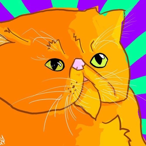 Ballad of Mr. Cat