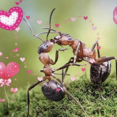 Justin Bieber - One Time (Thiti Remix)