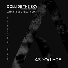 Feel It (feat. Mike Tedesco)