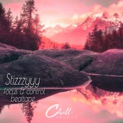 Stizzzyyy - focus & control [beattape]