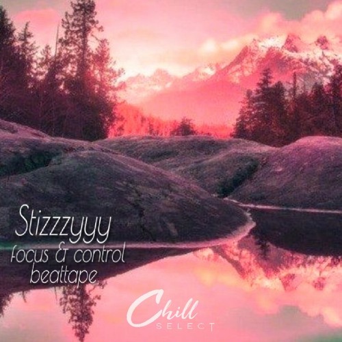 Stizzzyyy - focus & control [beattape]