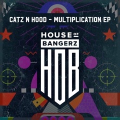 Catz N Hood, Holt 88 - Basic (Original Mix)