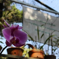 01.07.2022 - Cap. XI - Amar o Próximo Como a Si Mesmo - A Fé e a Caridade (5)