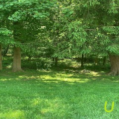 U (prod.killedmyself)