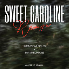 Sweet Caroline Remix
