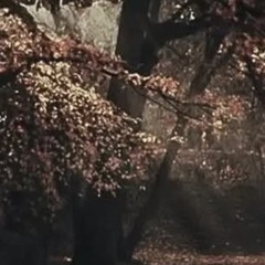 2-R-7.S-D-H (Ultra Slowed)