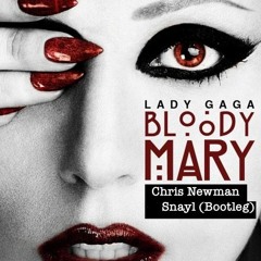 Lady Gaga - Bloody Mary (Chris Newman & Snayl) Bootleg