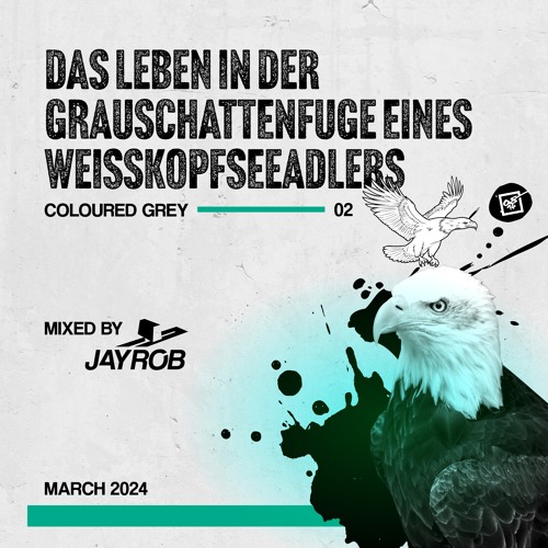 Das Leben in der Grauschattenfuge eines Weißkopfseeadlers - Coloured Grey Part 02 - 03/2024