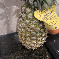 Racktard D - pineapple