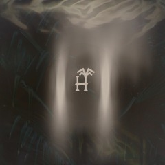 House Of Palms - Kiev