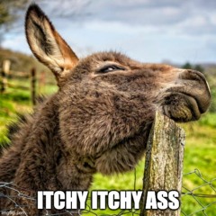 Itchy Itchy Ass