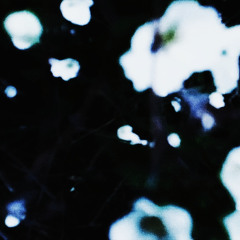 chaos flower.