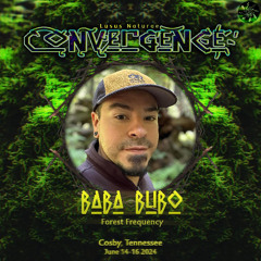 Baba Bubo @ Convergence