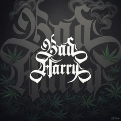 Bad Harry - In The Mix 10.03.25