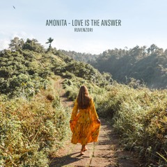 Amonita - Love Is The Answer