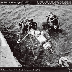 flucht auf dem rhein (feat. ICHOR)