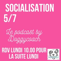 BERGER AUSTRALIEN Le Pouvoir de la Socialisation Précoce s04e08 PART 5