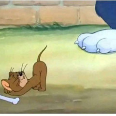 쥐의 수명은 짧다
