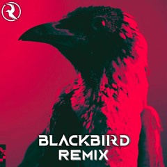Flume  - Say Nothing (feat. MAY - A) (BLACKBIRD REMIX)
